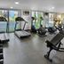 Palestra