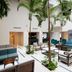 Ingresso
