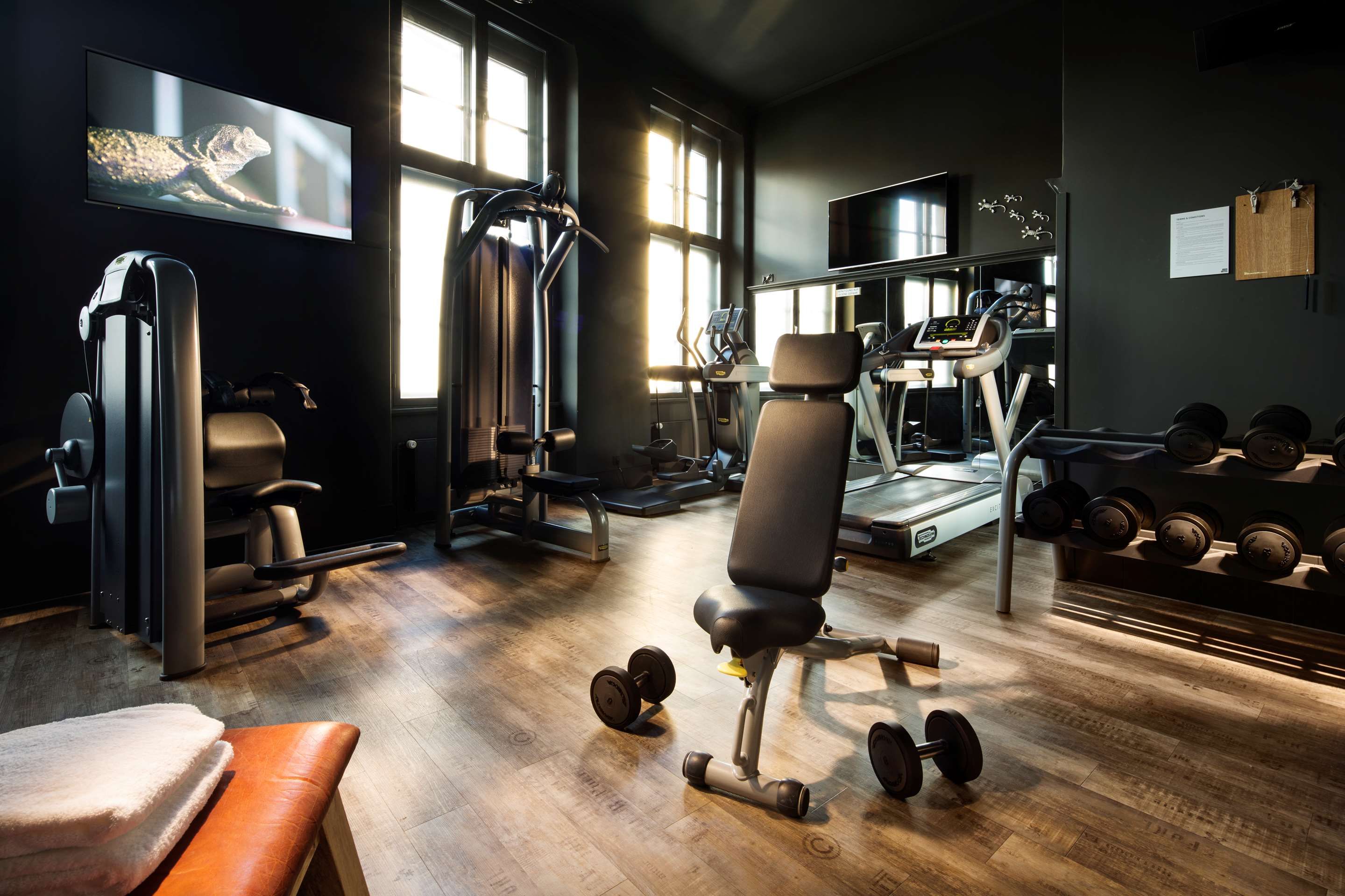 Palestra