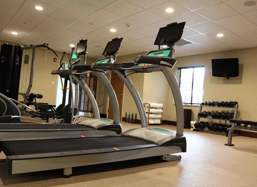 Palestra Foto