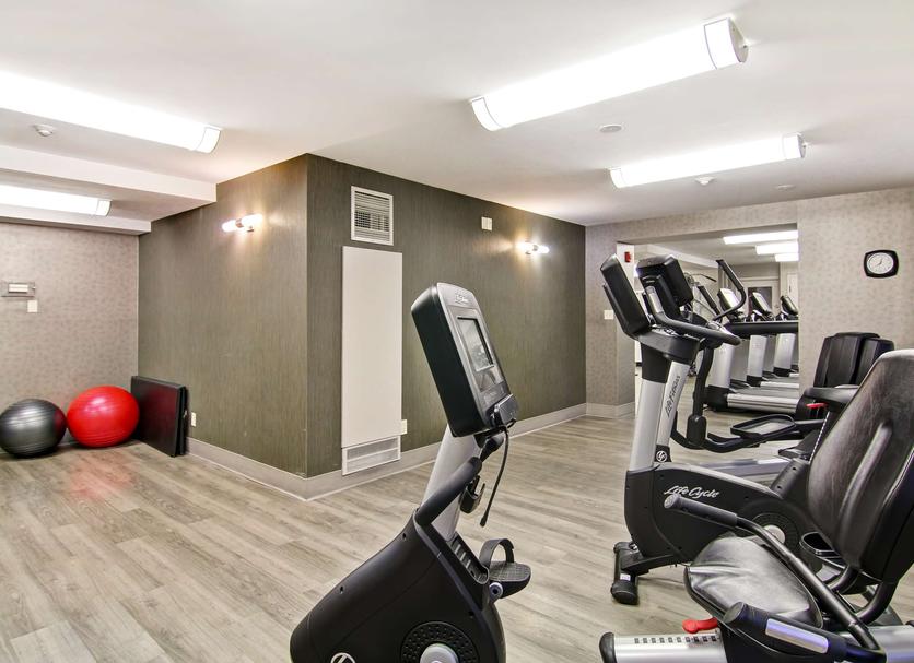 Palestra Foto