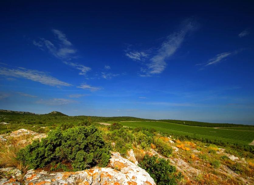 Vista esterna Foto