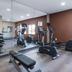 Palestra