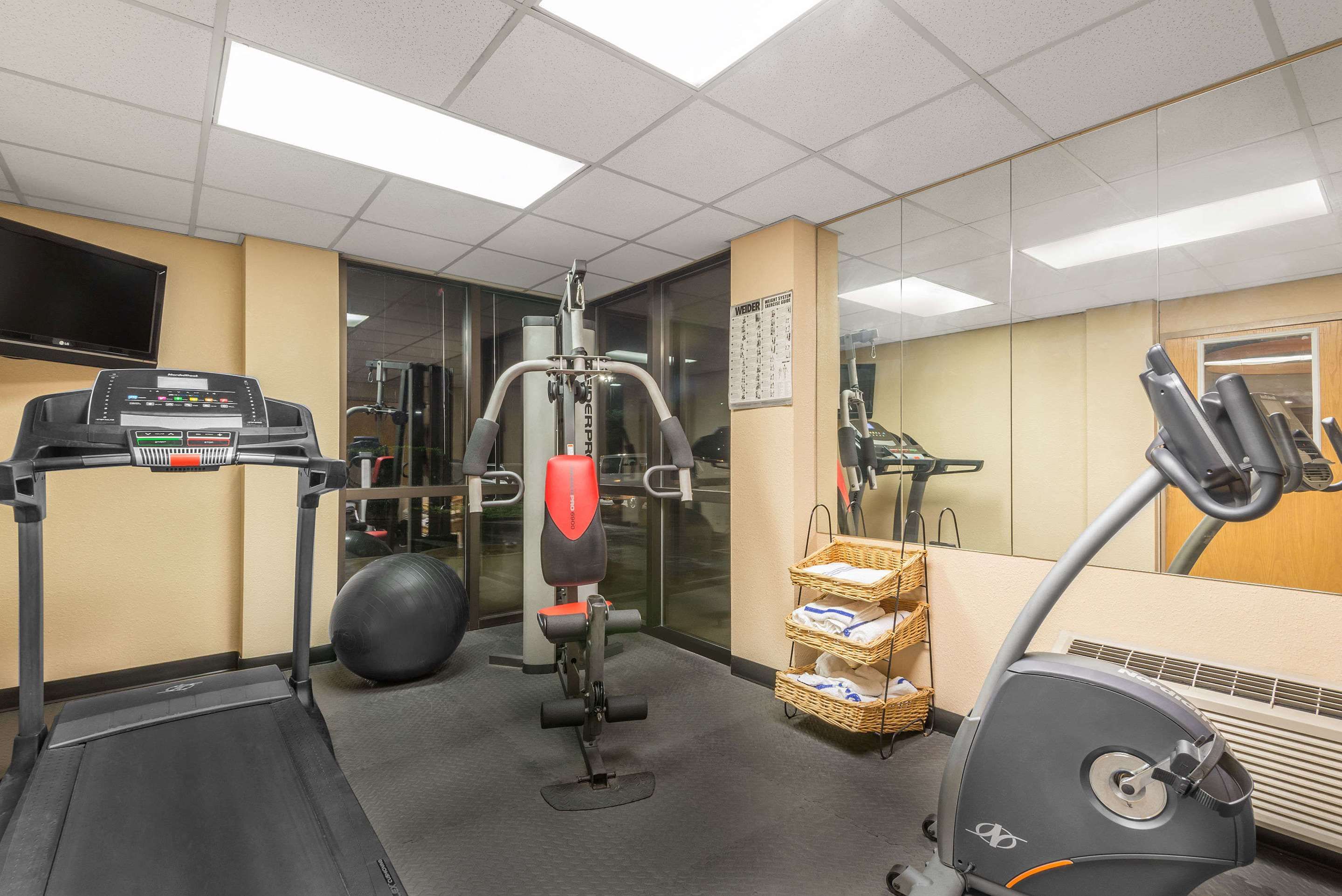 Palestra