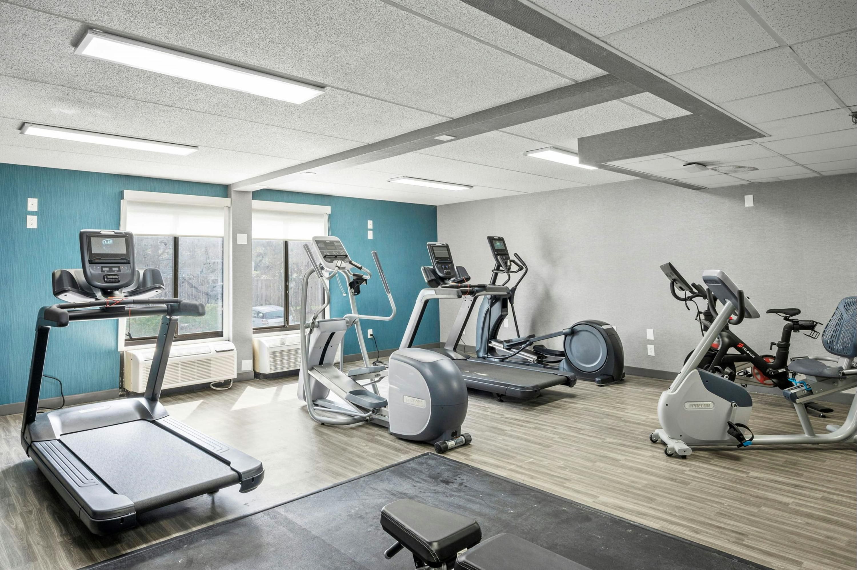 Palestra