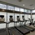 Palestra