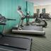 Palestra