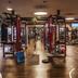 Palestra