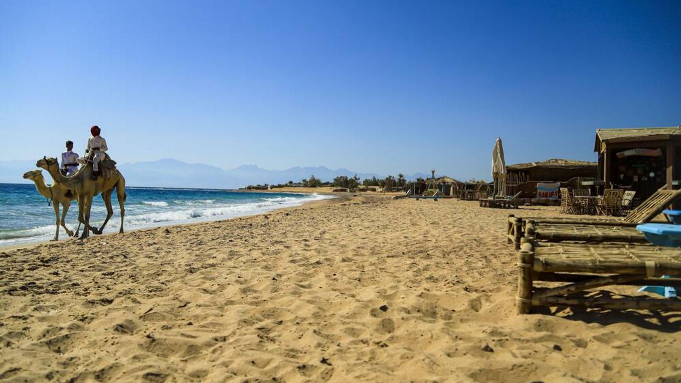 Habiba Beach Lodge