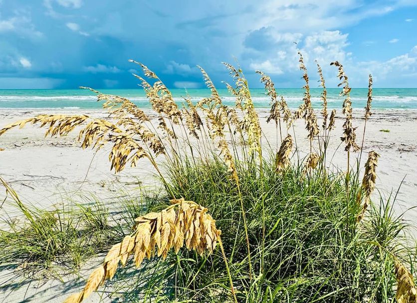 Spiaggia Foto