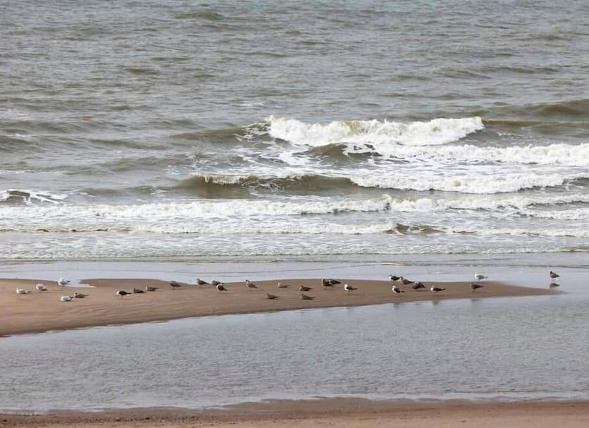 Spiaggia Foto