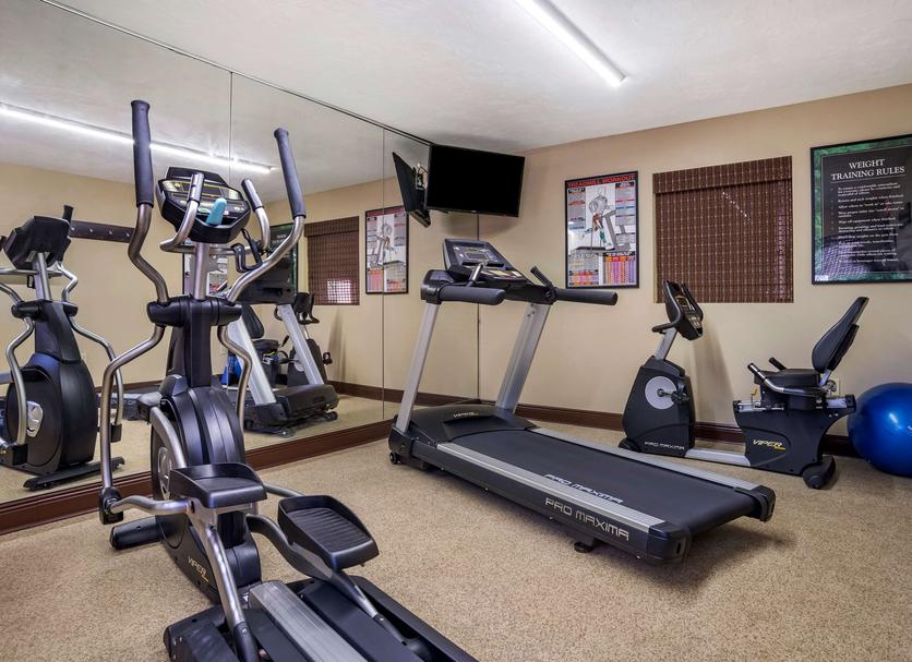 Palestra Foto