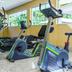 Palestra
