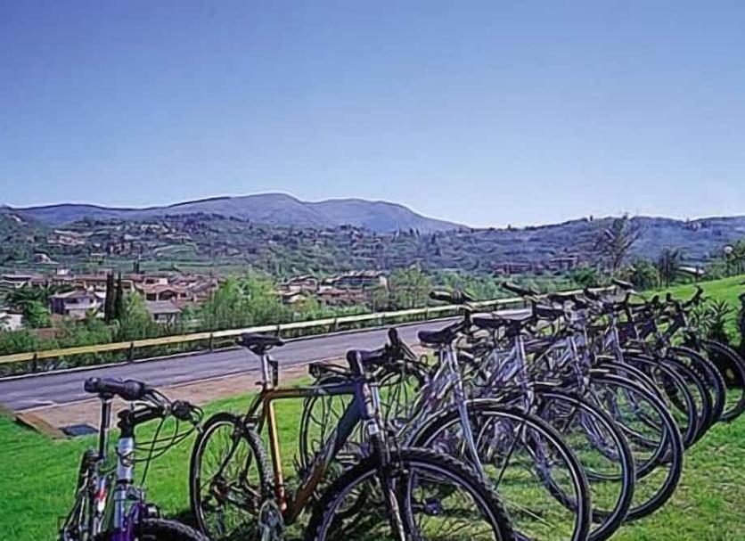 Altro Foto