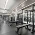 Palestra