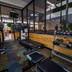 Palestra