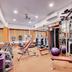 Palestra