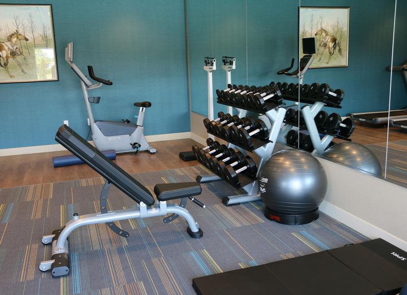 Palestra Foto