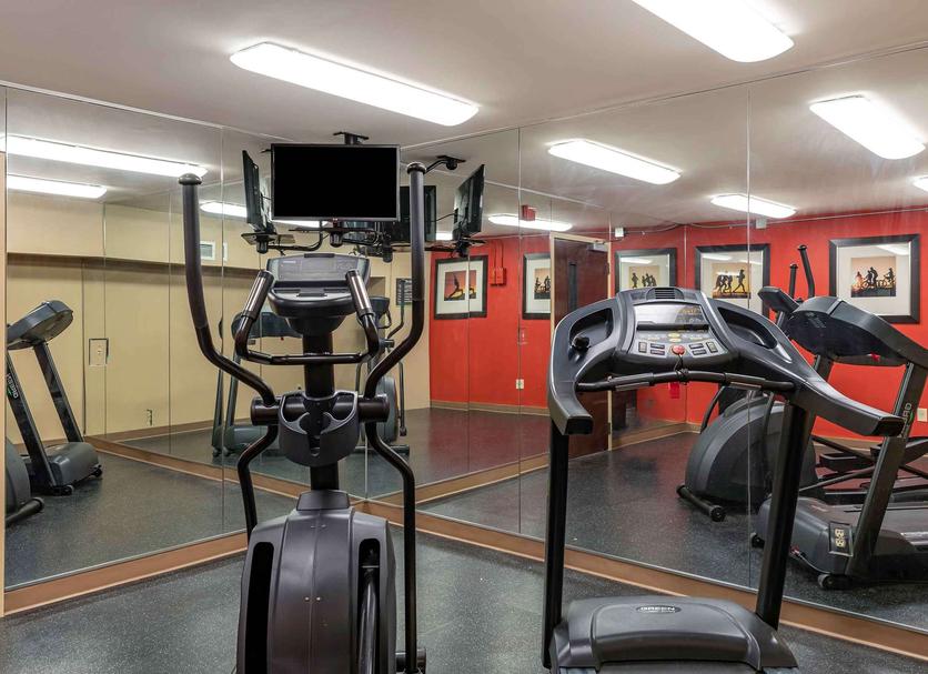 Palestra Foto