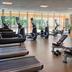 Palestra