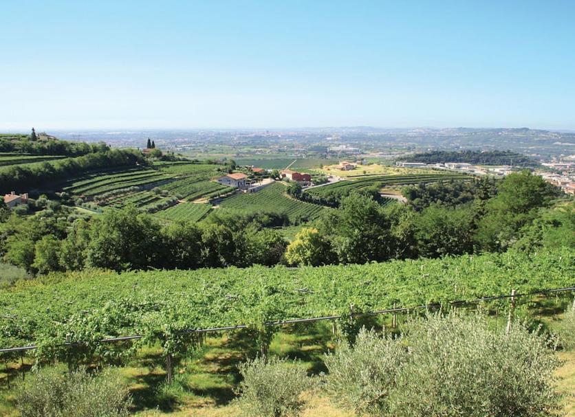 Vista esterna Foto