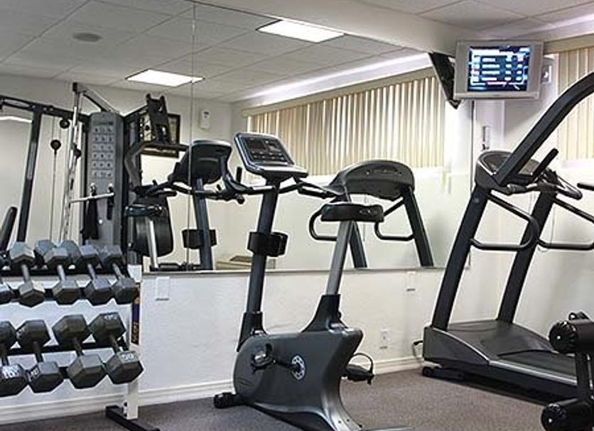 Palestra Foto