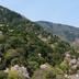 Vista esterna