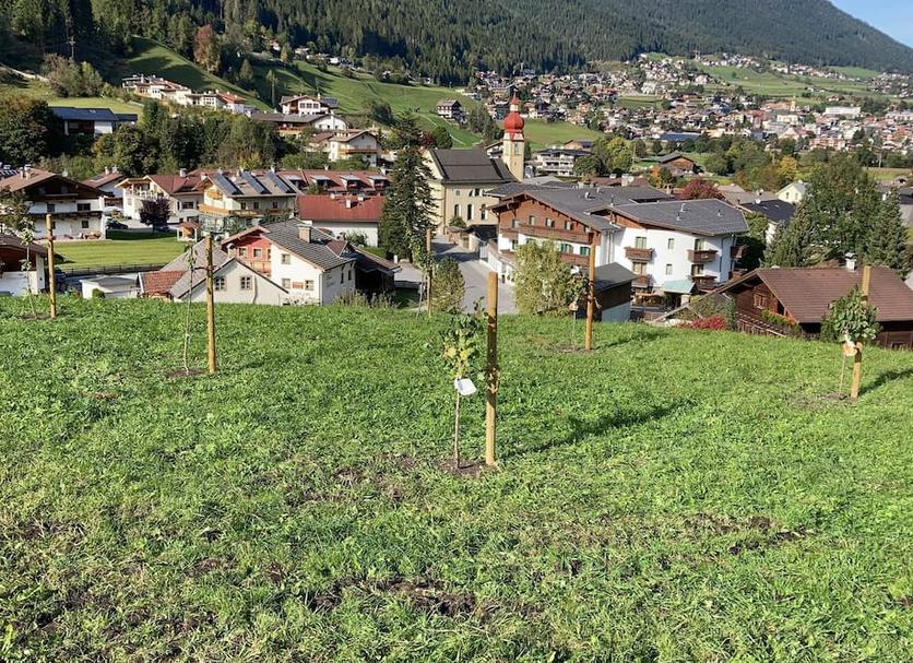 Vista esterna Foto