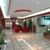 Ingresso