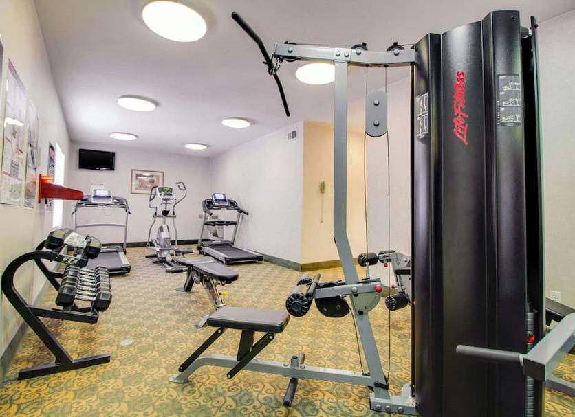 Palestra Foto