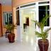 Ingresso