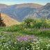 Vista esterna