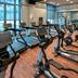 Palestra