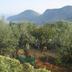 Vista esterna