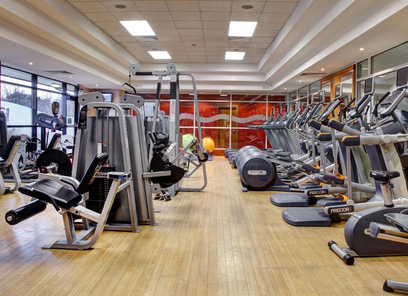 Palestra Foto