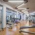 Palestra
