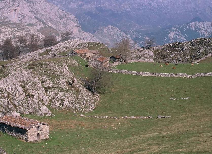 Vista esterna Foto