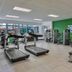 Palestra