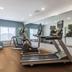 Palestra