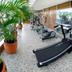 Palestra