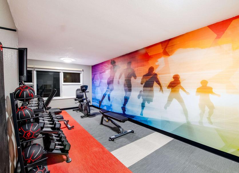 Palestra Foto