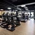 Palestra