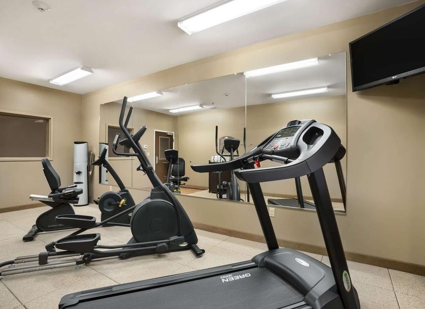 Palestra Foto
