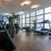 Palestra
