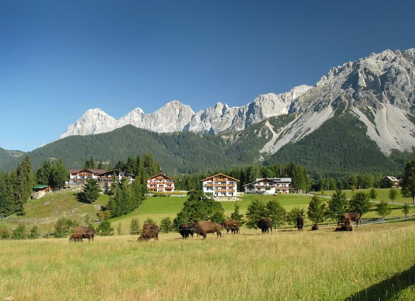 Vista esterna Foto