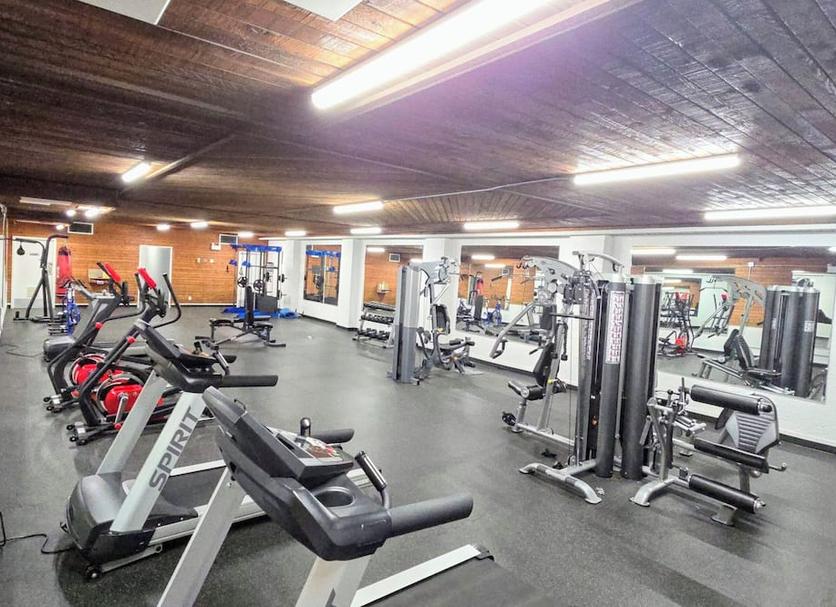 Palestra Foto