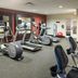 Palestra