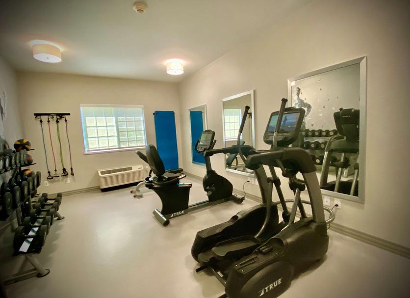 Palestra Foto