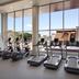 Palestra