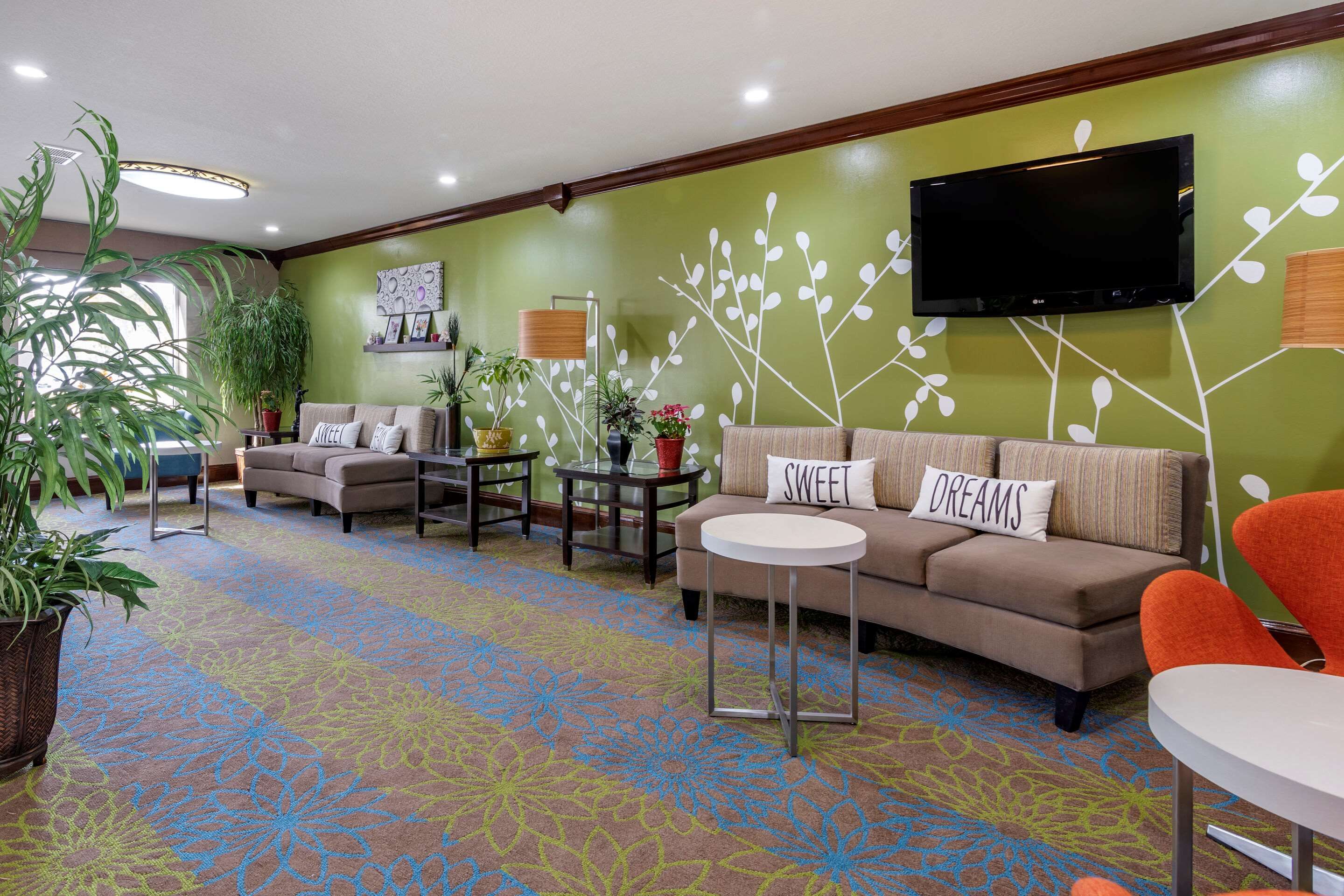 Area lounge